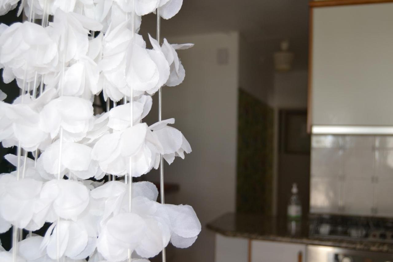Petunia - Guest House Cascais Dış mekan fotoğraf