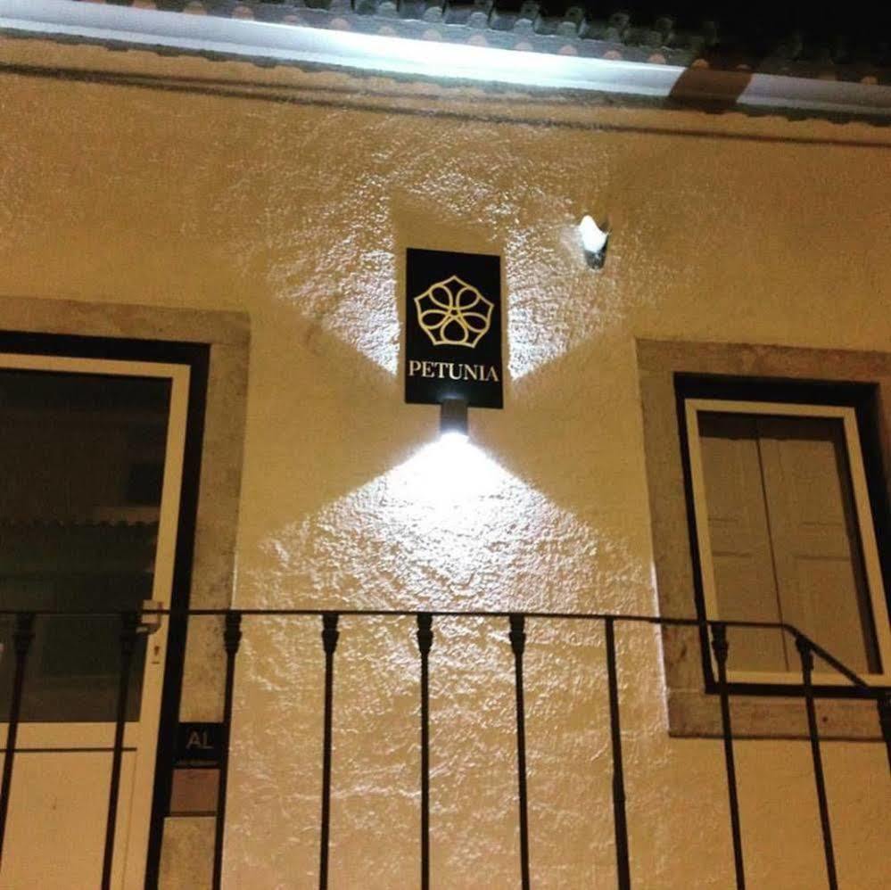 Petunia - Guest House Cascais Dış mekan fotoğraf